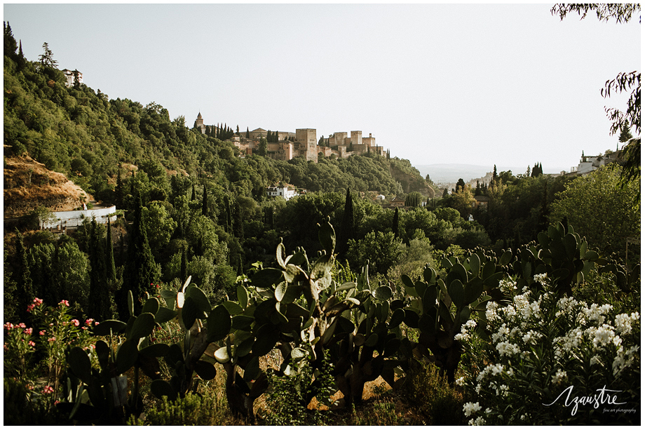Boda en la Chumbera - Boda con vistas a la Alhambra - Fotografo Boda Granada