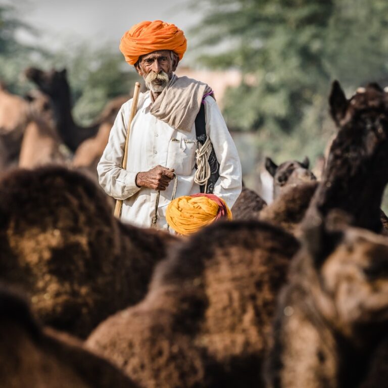 Fotografía realizada por Alfonso Azaustre, fotógrafo de bodas en Granada: hombres árabes mayores con turbantes naranjas entre camellos